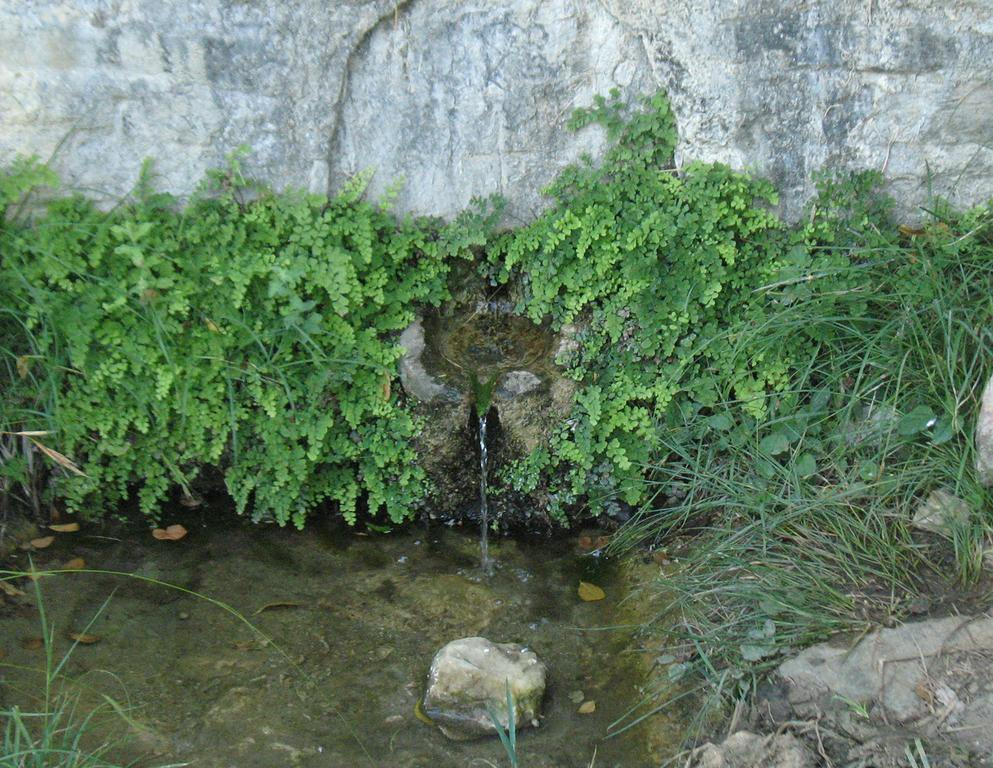Traditional Stonehouse بوتيستيكا المظهر الخارجي الصورة